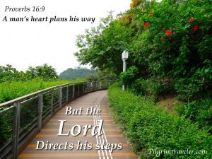 lord-directs-his-steps