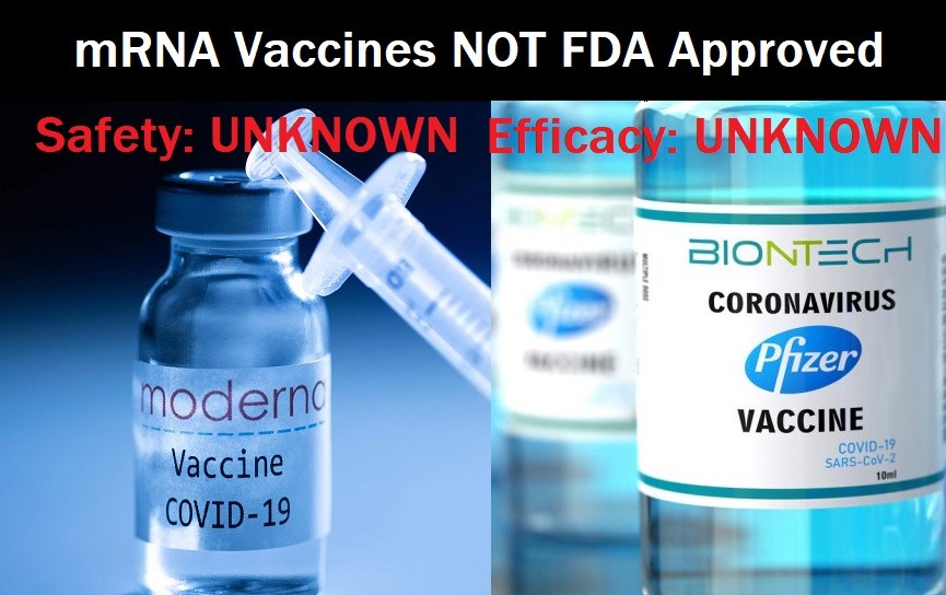 This image has an empty alt attribute; its file name is mRNA-Vaccines-NOT-FDA-Approved.jpg